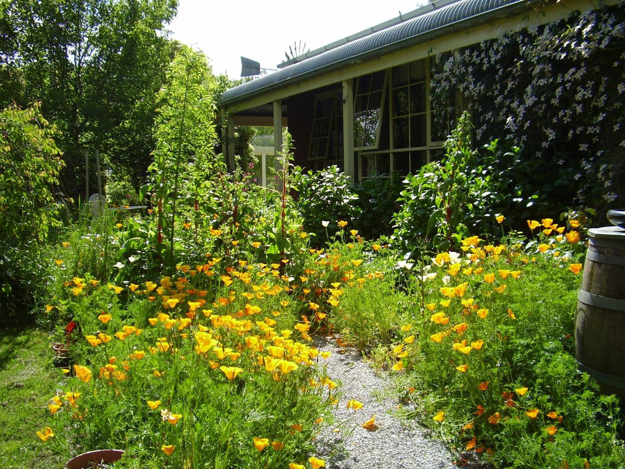 Holly Lane Mews Motel Yarra Glen Exterior foto